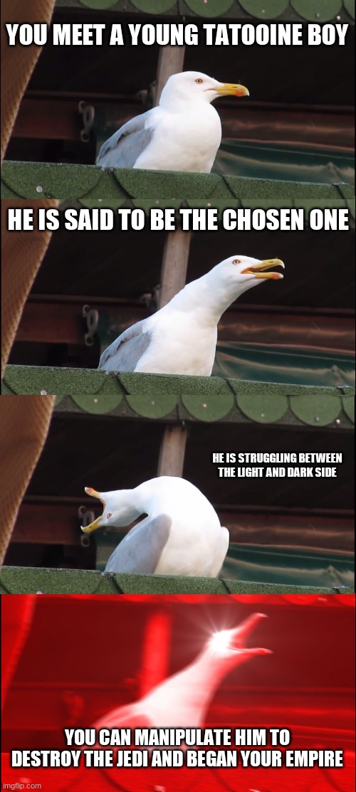 (insert starwars reference here) | YOU MEET A YOUNG TATOOINE BOY; HE IS SAID TO BE THE CHOSEN ONE; HE IS STRUGGLING BETWEEN THE LIGHT AND DARK SIDE; YOU CAN MANIPULATE HIM TO DESTROY THE JEDI AND BEGAN YOUR EMPIRE | image tagged in memes,inhaling seagull | made w/ Imgflip meme maker