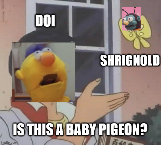 A little baby pigeon | DOI; SHRIGNOLD; IS THIS A BABY PIGEON? | image tagged in memes,is this a pigeon | made w/ Imgflip meme maker