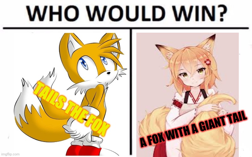 Fox vs fox | TAILS THE FOX; A FOX WITH A GIANT TAIL | image tagged in memes,who would win,fox,anime girl,tails | made w/ Imgflip meme maker