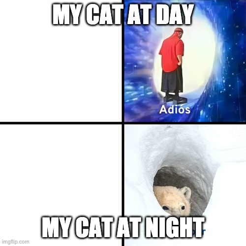 Adios Bonjour | MY CAT AT DAY; MY CAT AT NIGHT | image tagged in adios bonjour | made w/ Imgflip meme maker