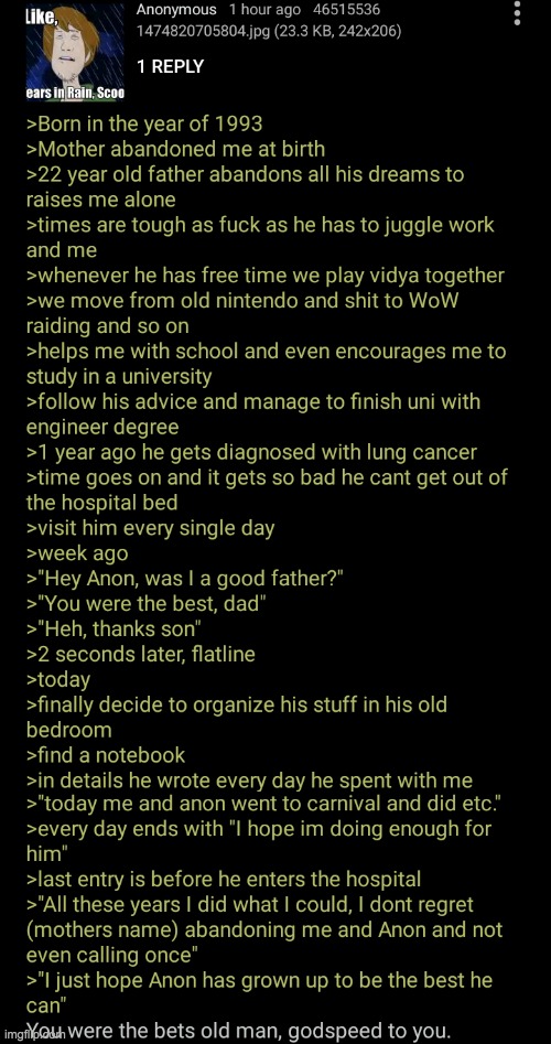 I came here to see funny internet maymays not catch feels | image tagged in greentext | made w/ Imgflip meme maker
