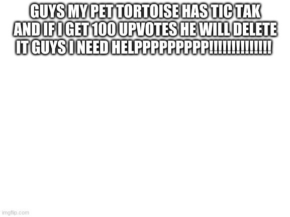 SRY IF IT SOUNDS LIKE BEGGING BUT ITS TRUEEEE | GUYS MY PET TORTOISE HAS TIC TAK AND IF I GET 100 UPVOTES HE WILL DELETE IT GUYS I NEED HELPPPPPPPPP!!!!!!!!!!!!!! | image tagged in blank white template | made w/ Imgflip meme maker