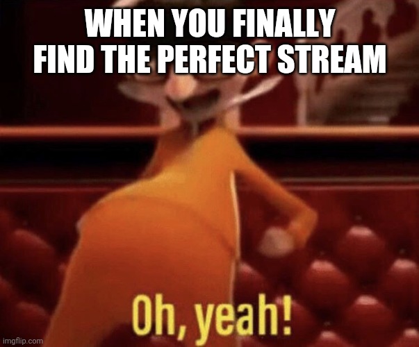 Vector saying Oh, Yeah! | WHEN YOU FINALLY FIND THE PERFECT STREAM | image tagged in vector saying oh yeah | made w/ Imgflip meme maker