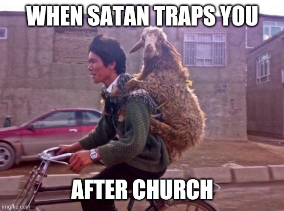 Sheep | WHEN SATAN TRAPS YOU; AFTER CHURCH | image tagged in travelling sheep | made w/ Imgflip meme maker