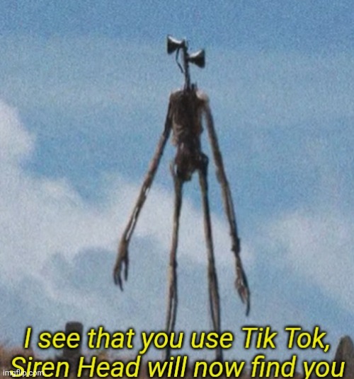 Siren want's to ban Tik Tok | image tagged in siren want's to ban tik tok,siren head,tik tok | made w/ Imgflip meme maker