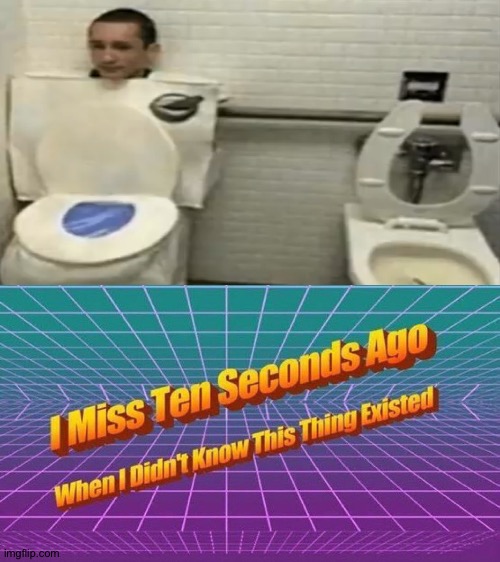 I would rather soil my pants instead of using this | image tagged in i miss ten seconds ago,memes,funny,cursed image,toilet,toilet humor | made w/ Imgflip meme maker