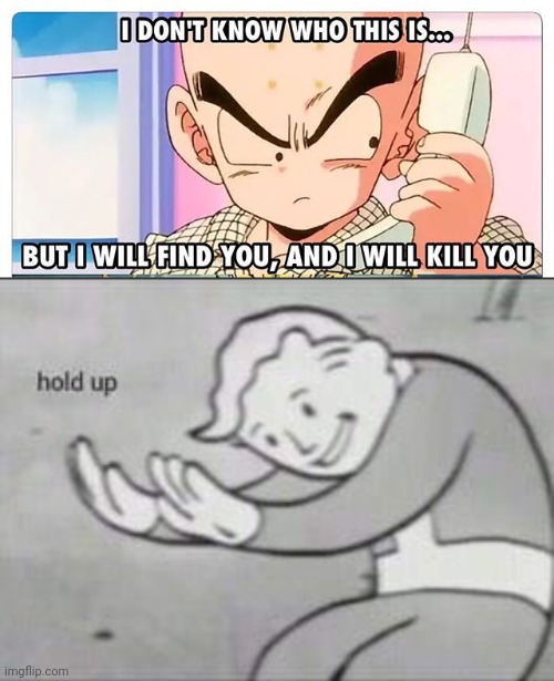 Krillin can't kill us, can he? | image tagged in fallout hold up | made w/ Imgflip meme maker