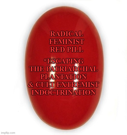 cult extremists | *ESCAPING THE PATRIARCHAL PLANTATION & CULT EXTREMIST INDOCTRINATION; RADICAL FEMINIST RED PILL | image tagged in cult,the patriarchy,scooby doo mask reveal | made w/ Imgflip meme maker