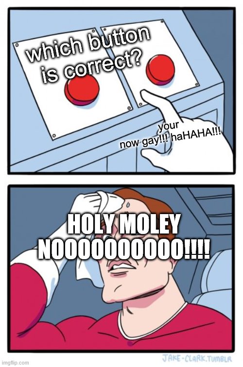 YOR GAY OH COMMON | which button is correct? your now gay!!! haHAHA!!! HOLY MOLEY NOOOOOOOOOO!!!! | image tagged in memes,two buttons | made w/ Imgflip meme maker