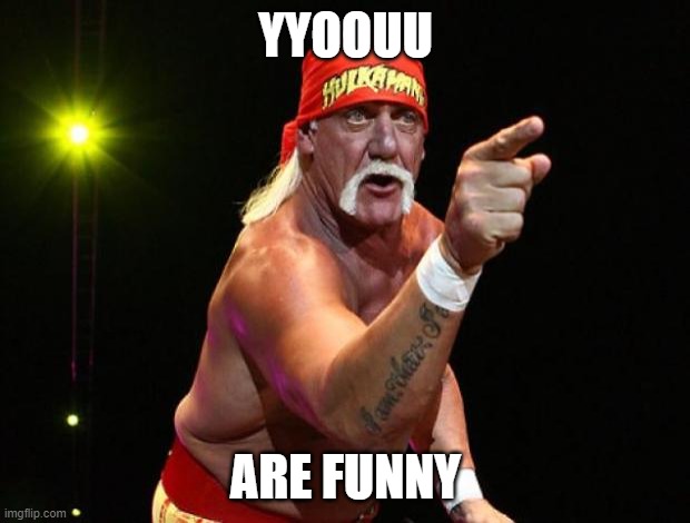 Hulk Hogan | YYOOUU ARE FUNNY | image tagged in hulk hogan | made w/ Imgflip meme maker