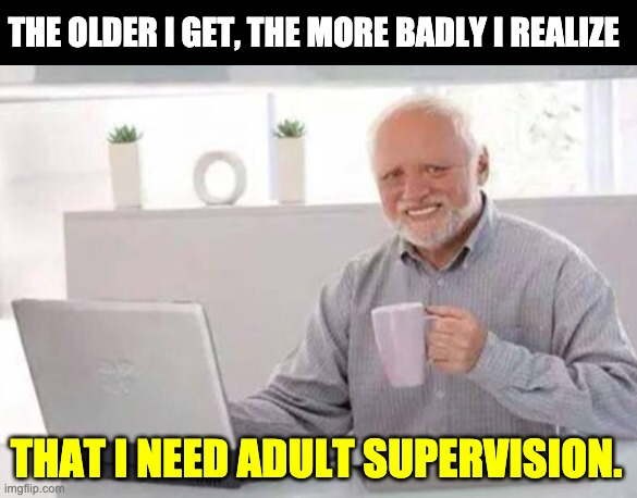 Harold | THE OLDER I GET, THE MORE BADLY I REALIZE; THAT I NEED ADULT SUPERVISION. | image tagged in harold | made w/ Imgflip meme maker