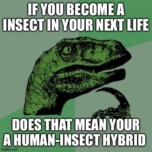 Philosoraptor | IF YOU BECOME A INSECT IN YOUR NEXT LIFE; DOES THAT MEAN YOUR A HUMAN-INSECT HYBRID | image tagged in memes,philosoraptor | made w/ Imgflip meme maker