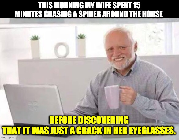 Harold | THIS MORNING MY WIFE SPENT 15 MINUTES CHASING A SPIDER AROUND THE HOUSE; BEFORE DISCOVERING THAT IT WAS JUST A CRACK IN HER EYEGLASSES. | image tagged in harold | made w/ Imgflip meme maker