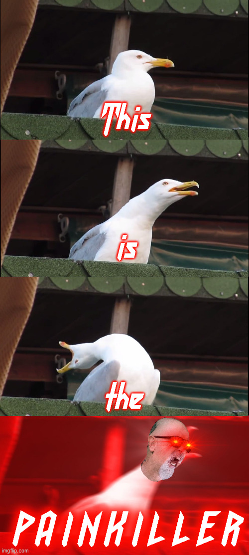Inhaling Seagull Meme | This; is; the; P A I N K I L L E R | image tagged in memes,inhaling seagull,judas priest,painkiller | made w/ Imgflip meme maker
