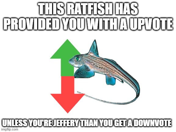 upvote ratfish | UNLESS YOU'RE JEFFERY THAN YOU GET A DOWNVOTE | image tagged in upvote ratfish | made w/ Imgflip meme maker