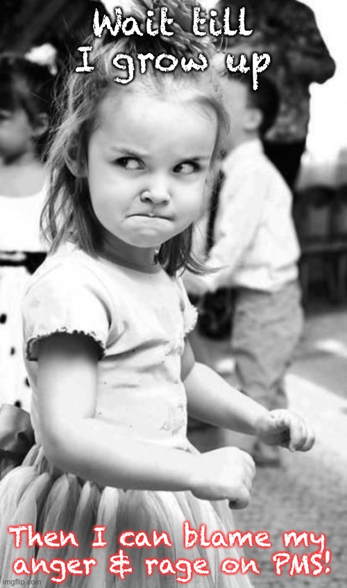 Angry Toddler | Wait till I grow up; Then I can blame my 
anger & rage on PMS! | image tagged in memes,angry toddler | made w/ Imgflip meme maker