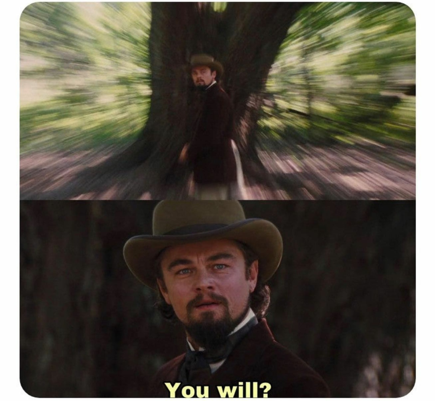 DiCaprio you will Blank Meme Template