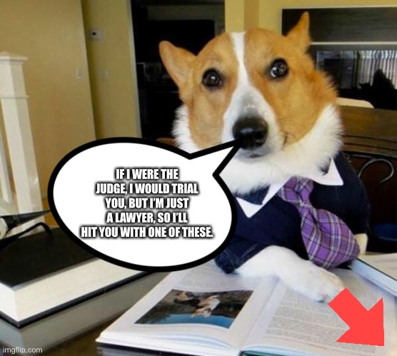 Lawyer Corgi Dog | IF I WERE THE JUDGE, I WOULD TRIAL YOU, BUT I’M JUST A LAWYER, SO I’LL HIT YOU WITH ONE OF THESE. | image tagged in lawyer corgi dog | made w/ Imgflip meme maker