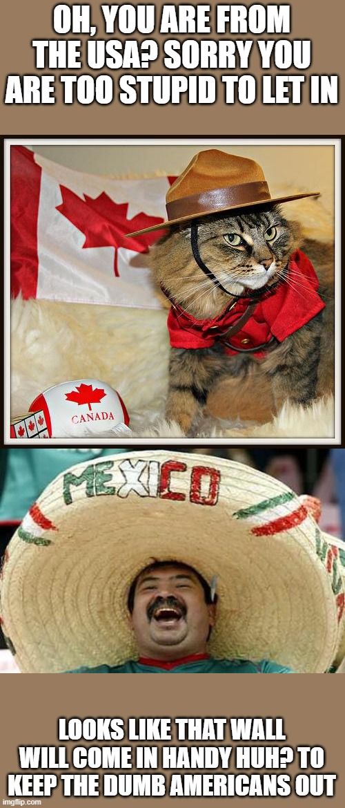 trump makes all Americans look bad and dumb | OH, YOU ARE FROM THE USA? SORRY YOU ARE TOO STUPID TO LET IN; LOOKS LIKE THAT WALL WILL COME IN HANDY HUH? TO KEEP THE DUMB AMERICANS OUT | image tagged in canada cat,mexico,coronavirus,donald trump is an idiot,maga,impeach trump | made w/ Imgflip meme maker