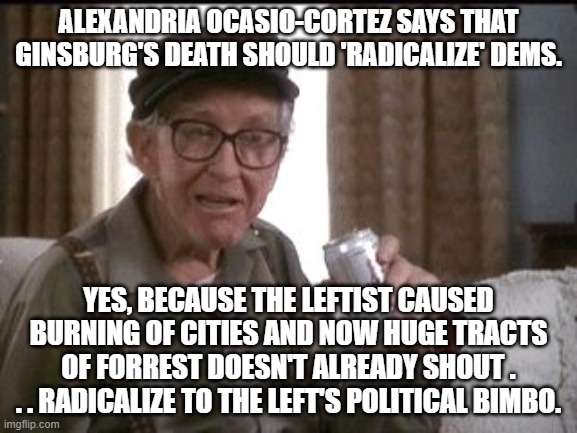 AOC is the Political Left's increasingly sacred and holy . . . Political Bimbo: | ALEXANDRIA OCASIO-CORTEZ SAYS THAT GINSBURG'S DEATH SHOULD 'RADICALIZE' DEMS. YES, BECAUSE THE LEFTIST CAUSED BURNING OF CITIES AND NOW HUGE TRACTS OF FORREST DOESN'T ALREADY SHOUT . . . RADICALIZE TO THE LEFT'S POLITICAL BIMBO. | image tagged in beer buy | made w/ Imgflip meme maker