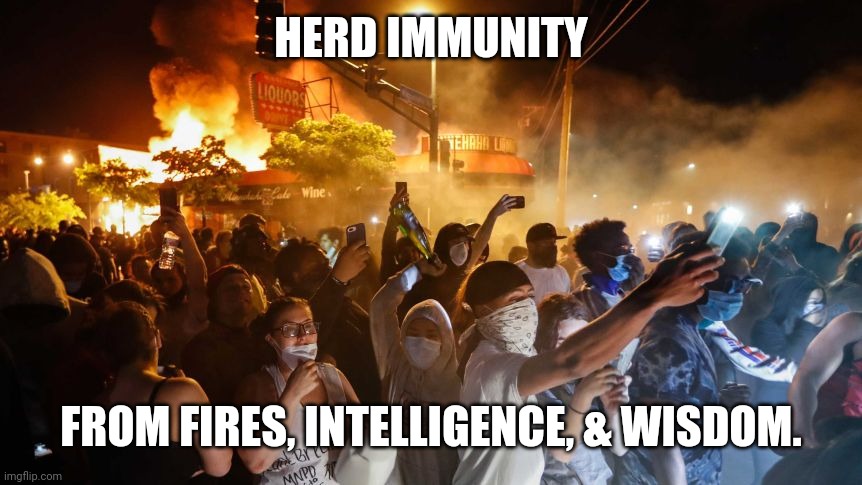 RiotersNoDistancing | HERD IMMUNITY FROM FIRES, INTELLIGENCE, & WISDOM. | image tagged in riotersnodistancing | made w/ Imgflip meme maker
