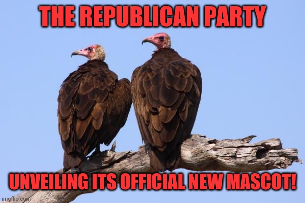 2020 Mascot | THE REPUBLICAN PARTY; UNVEILING ITS OFFICIAL NEW MASCOT! | image tagged in vultures,republicans,ruth bader ginsburg,donald trump,deplorable | made w/ Imgflip meme maker