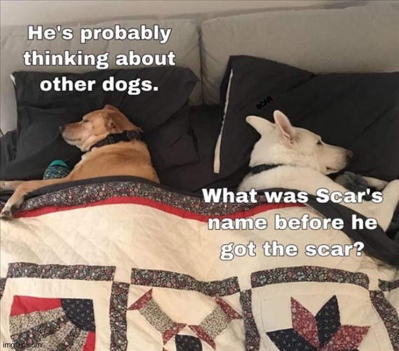 Works for dogs too | SCAR | image tagged in i bet he's thinking about other women,thinking,bed,dogs,lion king,memes | made w/ Imgflip meme maker