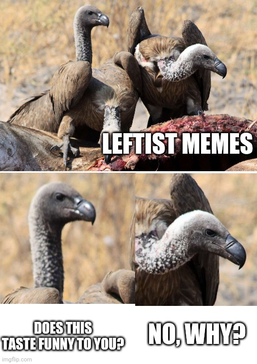 Liberals can't meme these days... | LEFTIST MEMES; DOES THIS TASTE FUNNY TO YOU? NO, WHY? | image tagged in blank white template,funny memes,political meme,lol so funny | made w/ Imgflip meme maker