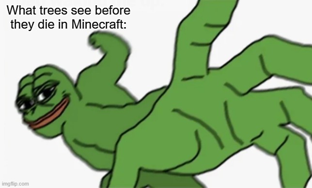 That's how Minecraft works | What trees see before they die in Minecraft: | image tagged in pepe punch | made w/ Imgflip meme maker