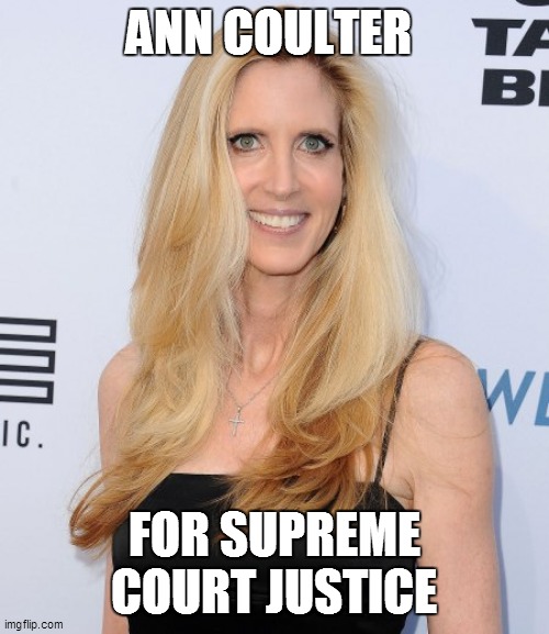 ANN COULTER; FOR SUPREME COURT JUSTICE | made w/ Imgflip meme maker