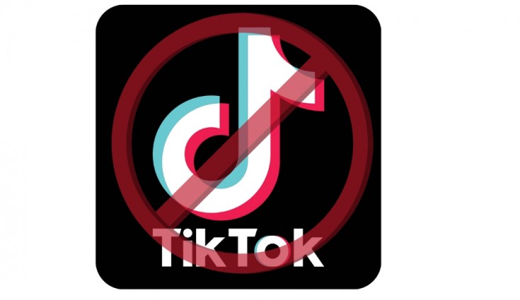 High Quality banned tiktok Blank Meme Template