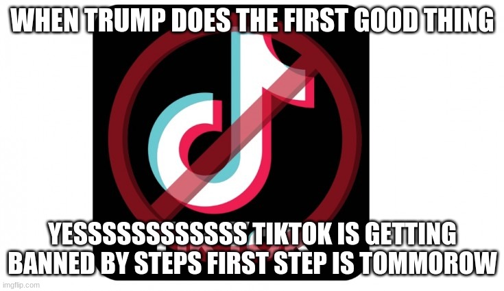 banned tiktok | WHEN TRUMP DOES THE FIRST GOOD THING; YESSSSSSSSSSSS TIKTOK IS GETTING BANNED BY STEPS FIRST STEP IS TOMMOROW | image tagged in banned tiktok | made w/ Imgflip meme maker