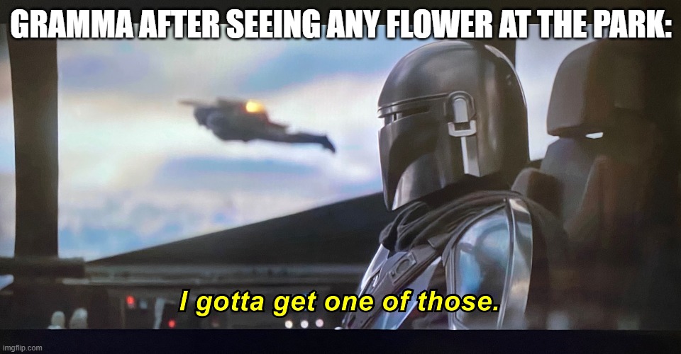 I gotta get one of those. | GRAMMA AFTER SEEING ANY FLOWER AT THE PARK: | image tagged in i gotta get one of those | made w/ Imgflip meme maker