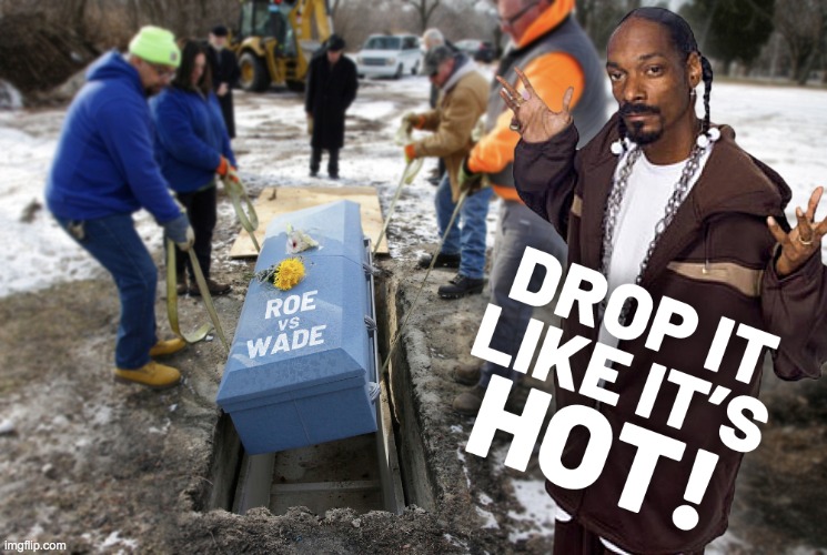 drop dat sheet | image tagged in roevwade | made w/ Imgflip meme maker