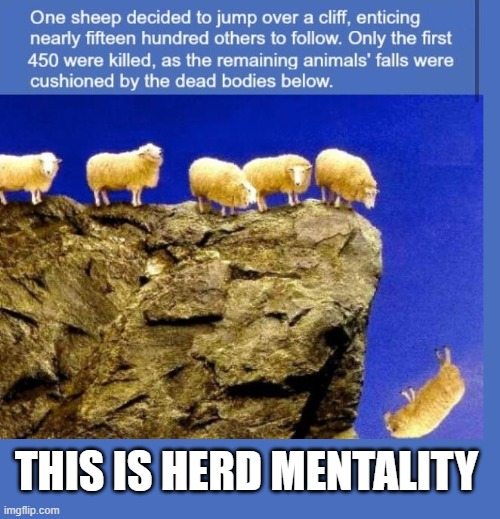 Trump Encourages His Supporters to Go to Super Spreader Events and 
NOT Wear Masks | THIS IS HERD MENTALITY | image tagged in covidiots,be stupid and die,herd mentality,sheeple,make america get sick again | made w/ Imgflip meme maker