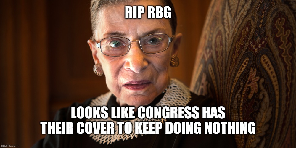 RIP RBG | RIP RBG; LOOKS LIKE CONGRESS HAS THEIR COVER TO KEEP DOING NOTHING | image tagged in ruth bader ginsburg,rbg,rip,2020,memes | made w/ Imgflip meme maker