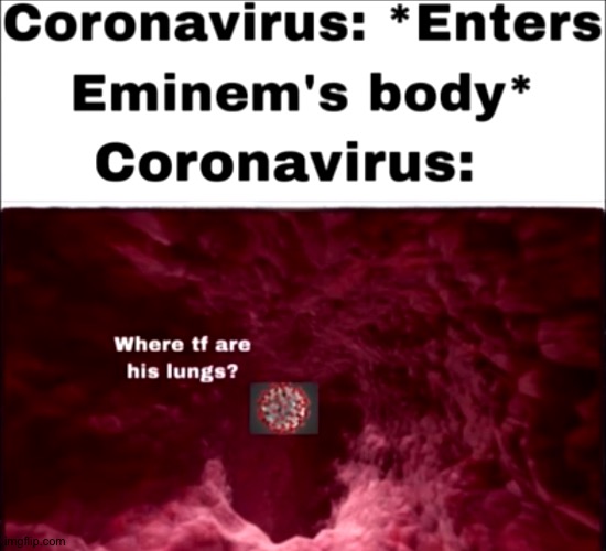 Where are his lungs? | image tagged in e | made w/ Imgflip meme maker