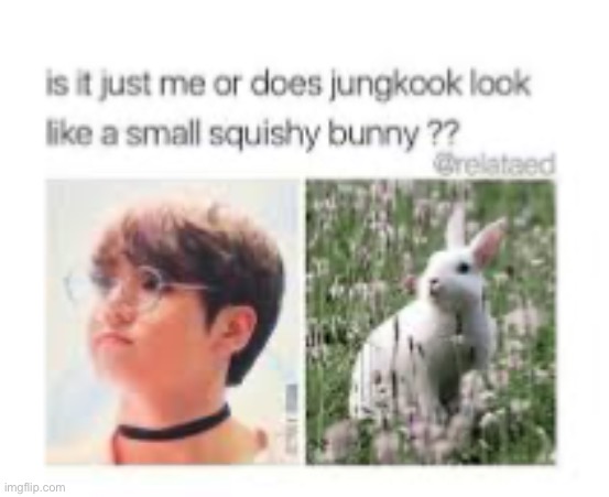 JungKook is a bunny | made w/ Imgflip meme maker