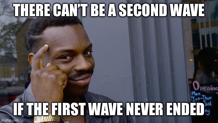 Roll Safe Think About It Meme | THERE CAN’T BE A SECOND WAVE IF THE FIRST WAVE NEVER ENDED | image tagged in memes,roll safe think about it | made w/ Imgflip meme maker