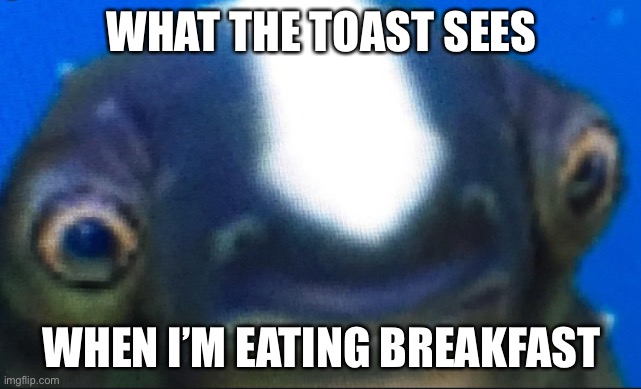 subnautica seamoth cuddlefish | WHAT THE TOAST SEES; WHEN I’M EATING BREAKFAST | image tagged in subnautica seamoth cuddlefish | made w/ Imgflip meme maker
