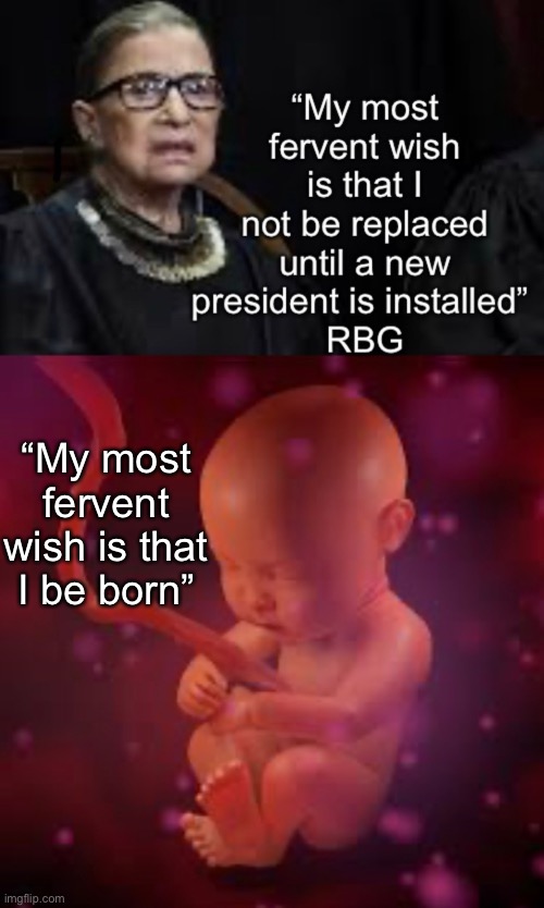 My most fervent wish. | “My most fervent wish is that I be born” | image tagged in supreme court,ruth bader ginsburg,politics,life | made w/ Imgflip meme maker