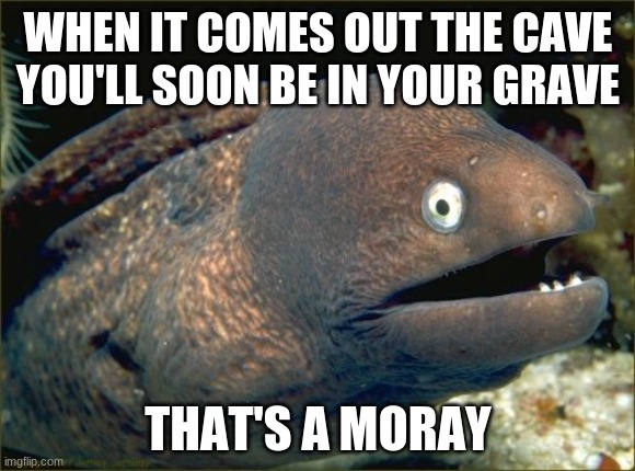 Bad Joke Eel Meme | WHEN IT COMES OUT THE CAVE YOU'LL SOON BE IN YOUR GRAVE; THAT'S A MORAY | image tagged in memes,bad joke eel | made w/ Imgflip meme maker