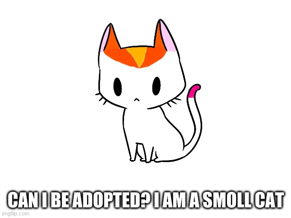 hello | CAN I BE ADOPTED? I AM A SMOLL CAT | image tagged in imgflip,adoption,cat | made w/ Imgflip meme maker