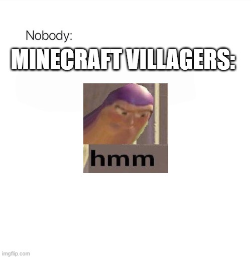 Nobody | MINECRAFT VILLAGERS: | image tagged in nobody | made w/ Imgflip meme maker
