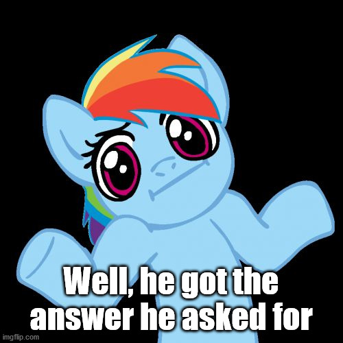 Pony Shrugs Meme | Well, he got the answer he asked for | image tagged in memes,pony shrugs | made w/ Imgflip meme maker