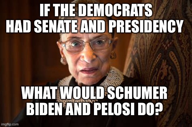 What would Dems do if situation reversed? | image tagged in democrats,chuck schumer,biden,ruth bader ginsburg | made w/ Imgflip meme maker