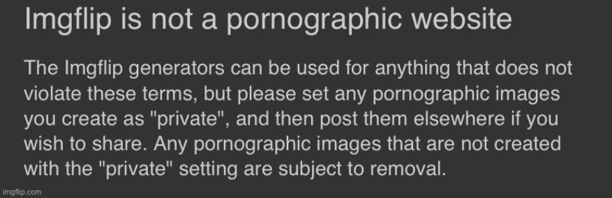 ImgFlip is not a pornographic website. That means there’s no porn on this website. Right? | image tagged in imgflip tos porn,porn,imgflip,terms and conditions,imgflip mods,meanwhile on imgflip | made w/ Imgflip meme maker