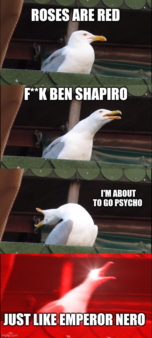 me and my friend were coming up with disturbing roses are red ryhmes | ROSES ARE RED; F**K BEN SHAPIRO; I'M ABOUT TO GO PSYCHO; JUST LIKE EMPEROR NERO | image tagged in memes,inhaling seagull,rhymes,roses are red,ben shapiro,funny | made w/ Imgflip meme maker