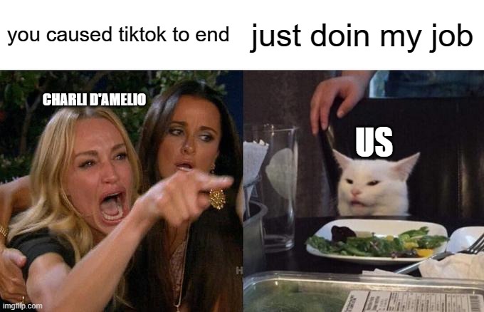 Woman Yelling At Cat | you caused tiktok to end; just doin my job; CHARLI D'AMELIO; US | image tagged in memes,woman yelling at cat | made w/ Imgflip meme maker