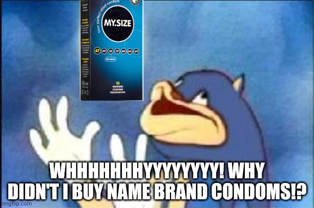 Sonic derp | WHHHHHHHYYYYYYYY! WHY DIDN'T I BUY NAME BRAND CONDOMS!? | image tagged in sonic derp | made w/ Imgflip meme maker